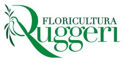 FLORICOLTURA RUGGERI